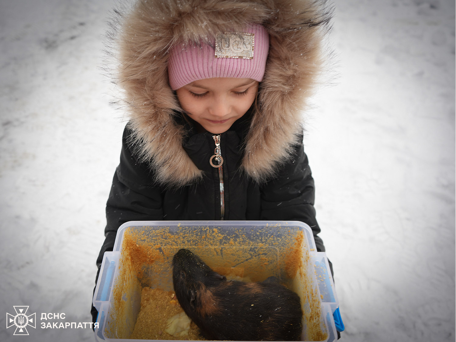До Мукачева евакуаційним поїздом прибули 7 людей