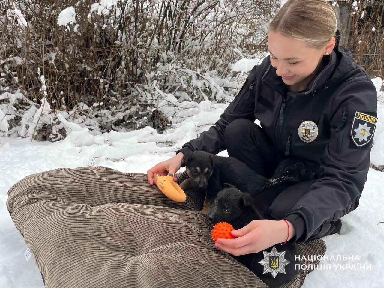 Поліцейська з Мукачева допомогла врятувати трьох цуценят