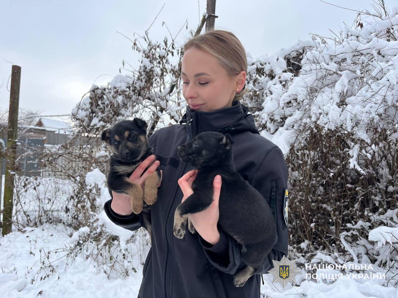 Поліцейська з Мукачева допомогла врятувати трьох цуценят