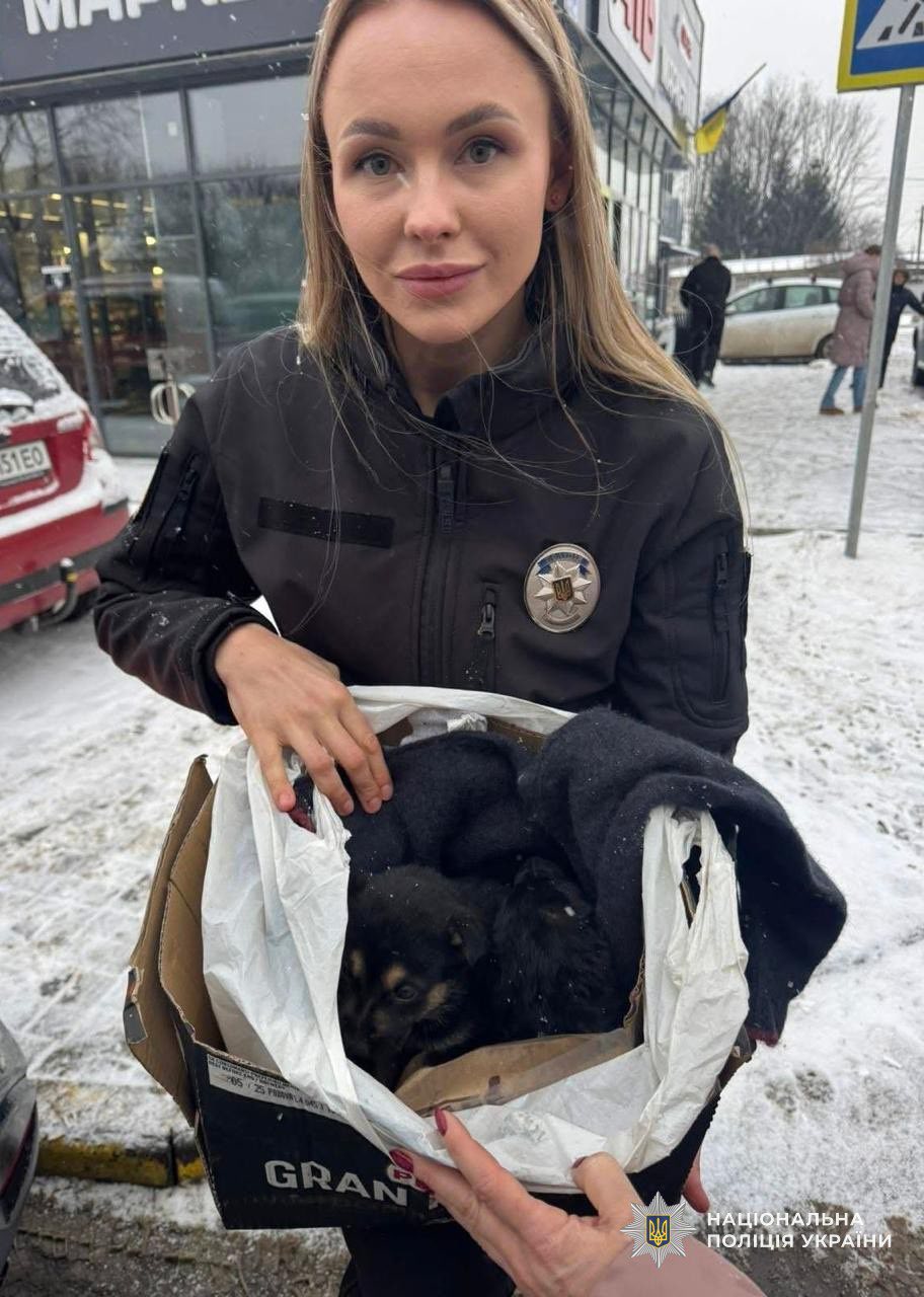Поліцейська з Мукачева допомогла врятувати трьох цуценят