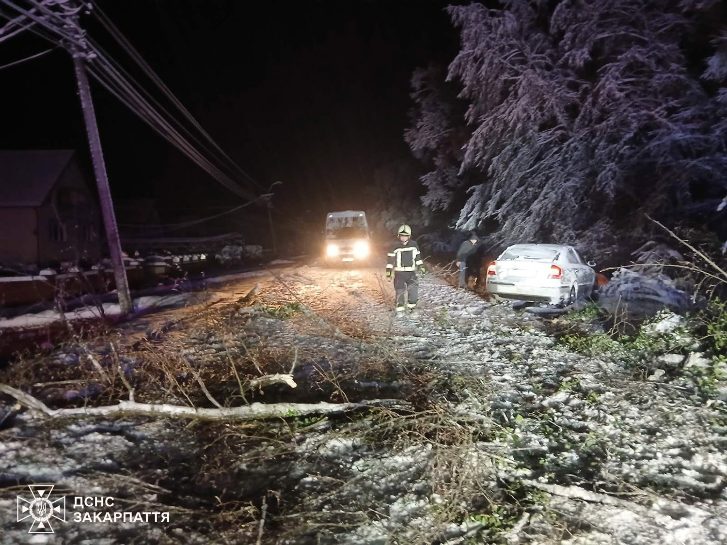 Падіння дерев на авто на Закарпатті