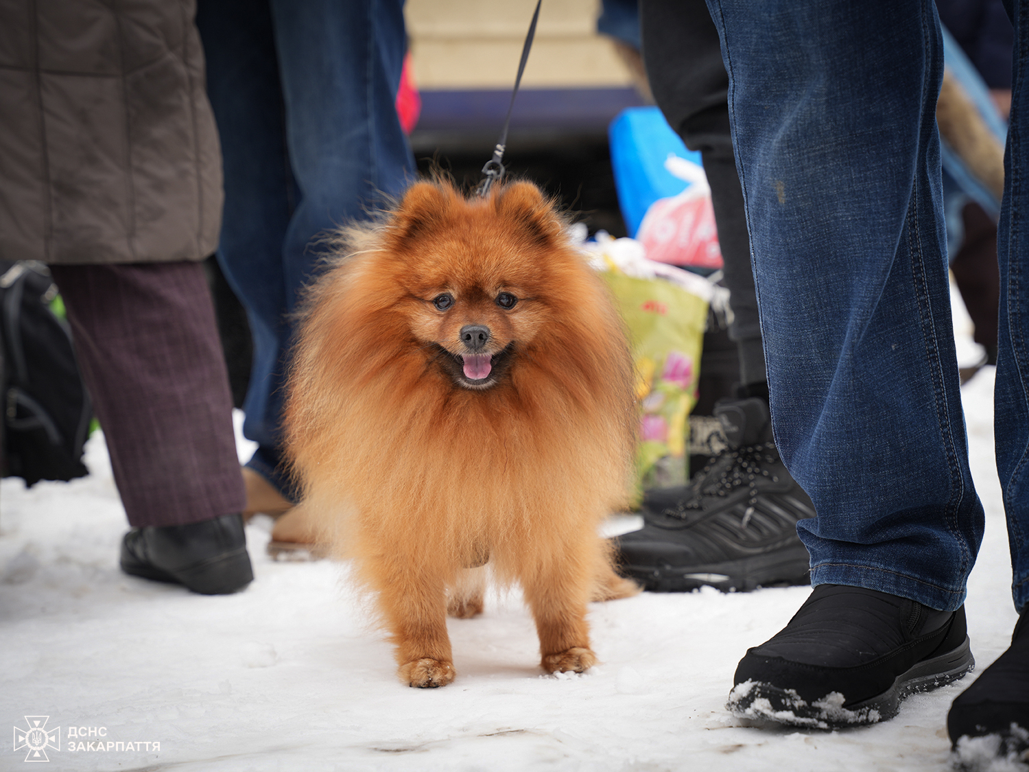На пероні у Мукачеві зустрічають евакуаційний поїзд 
