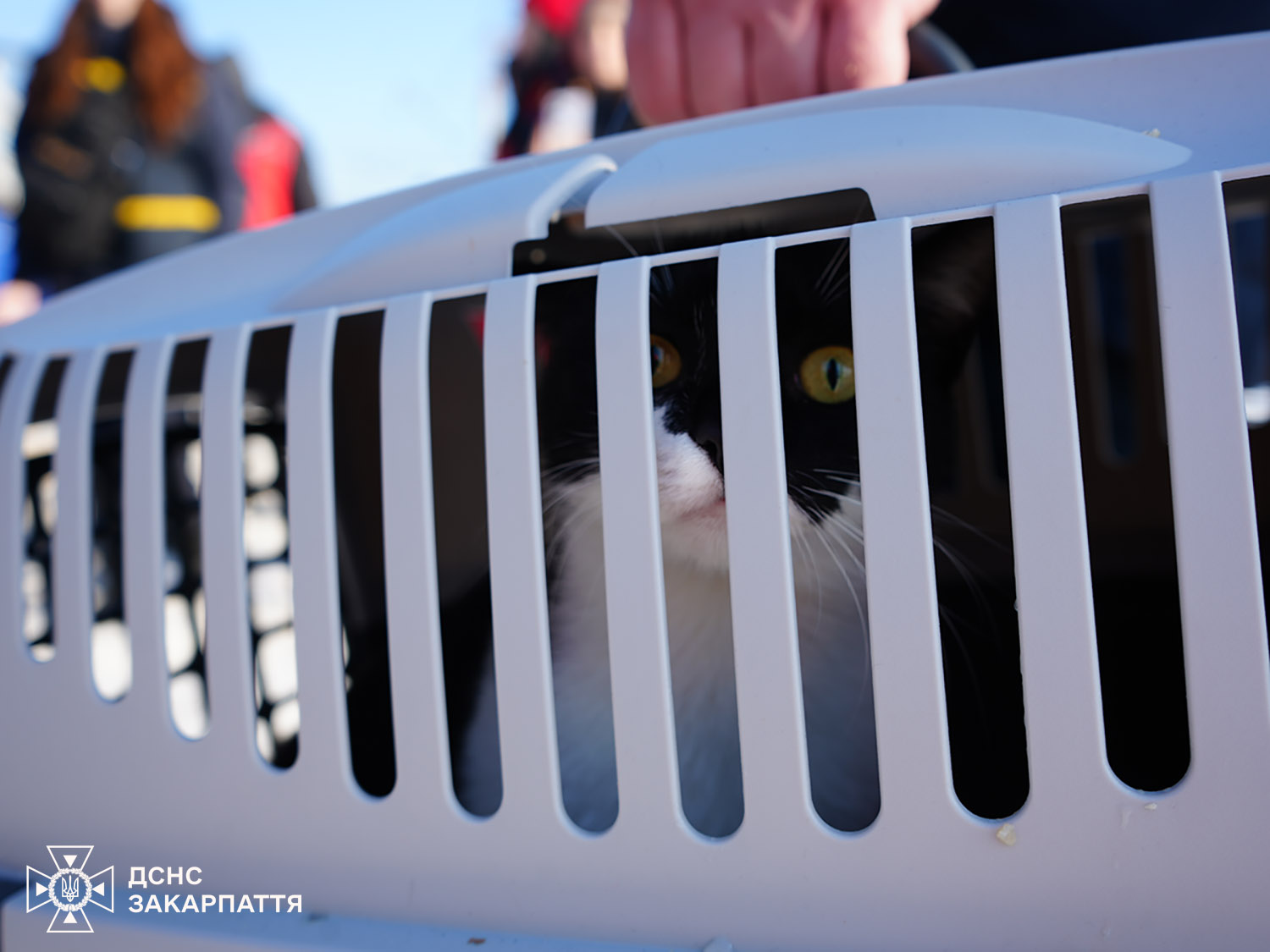 До Мукачева двома евакуаційними поїздами із Дніпропетровщини прибули 17 людей