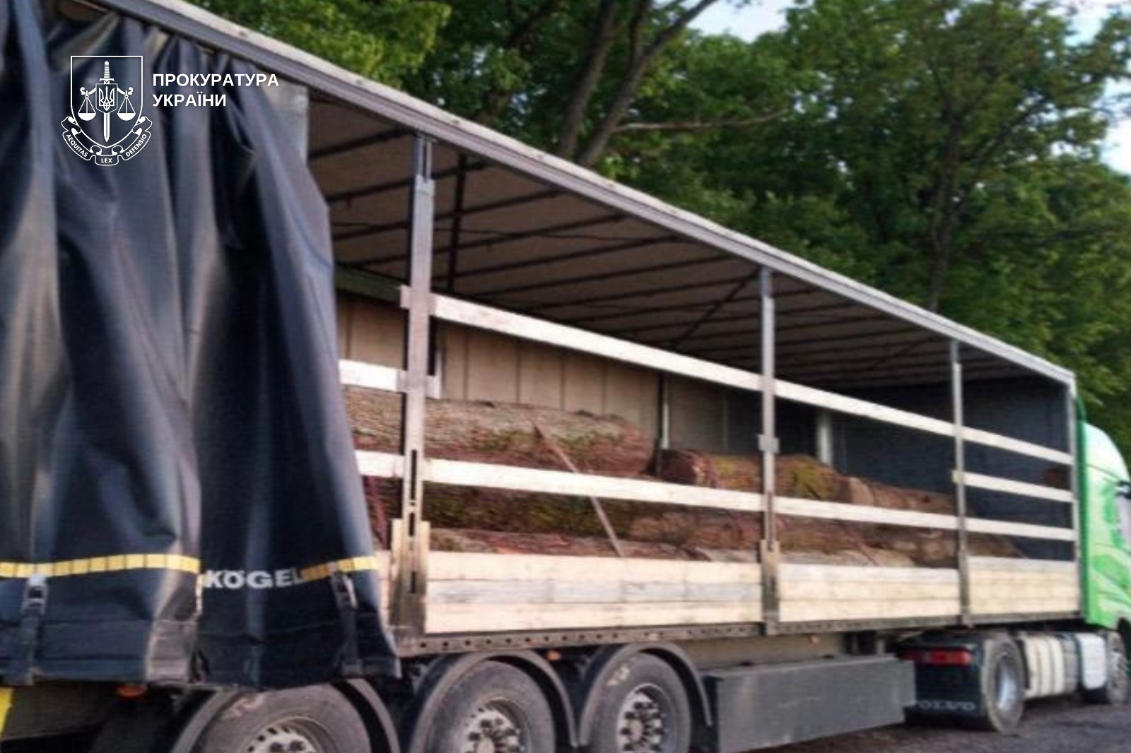 Незаконні рубки та збут деревини