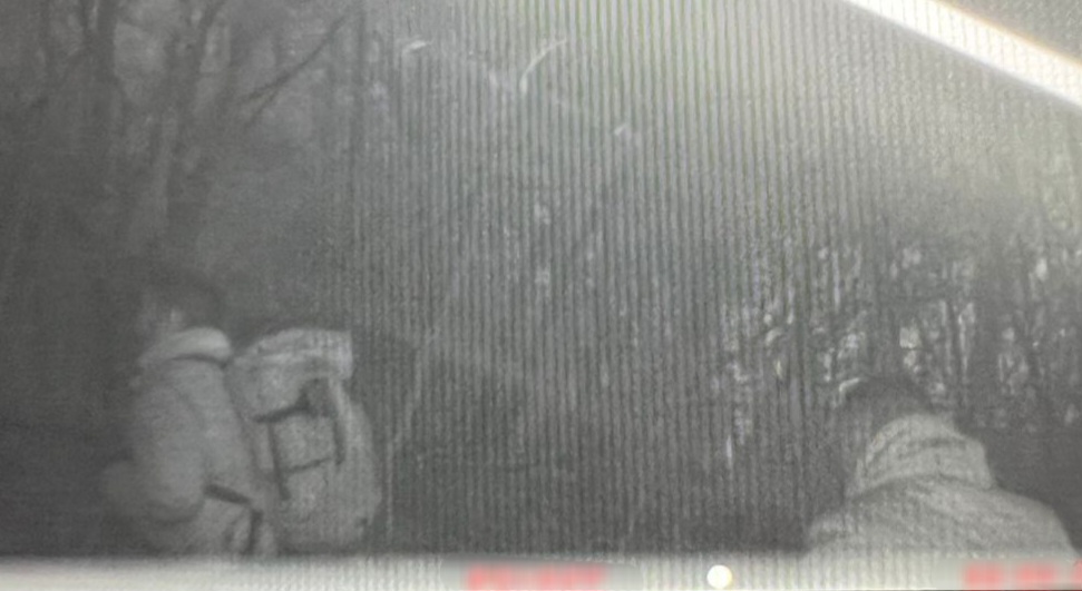 Знімок фотопастки