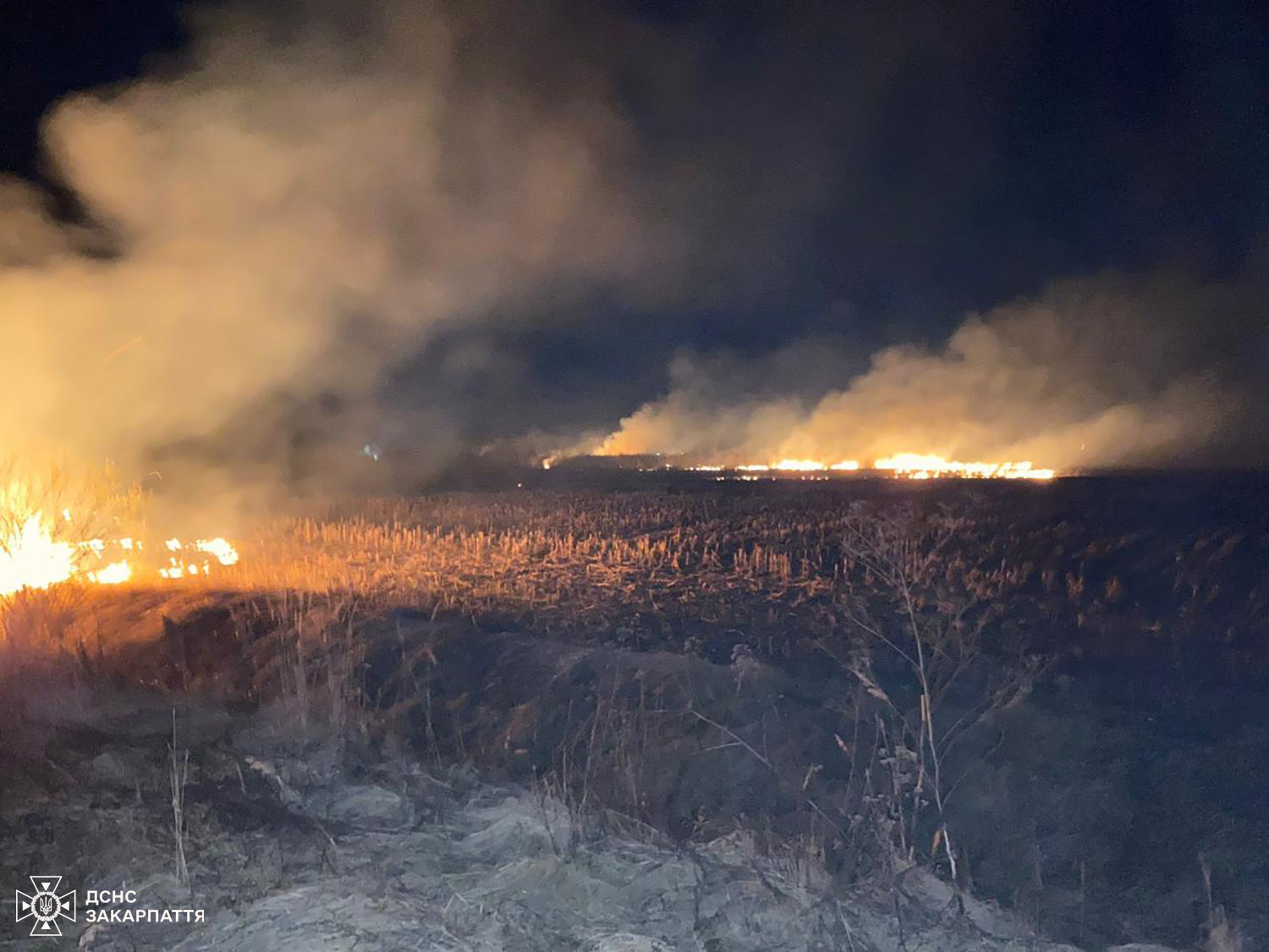 Спалахнув сухостій біля села Вовково на Ужгородщині