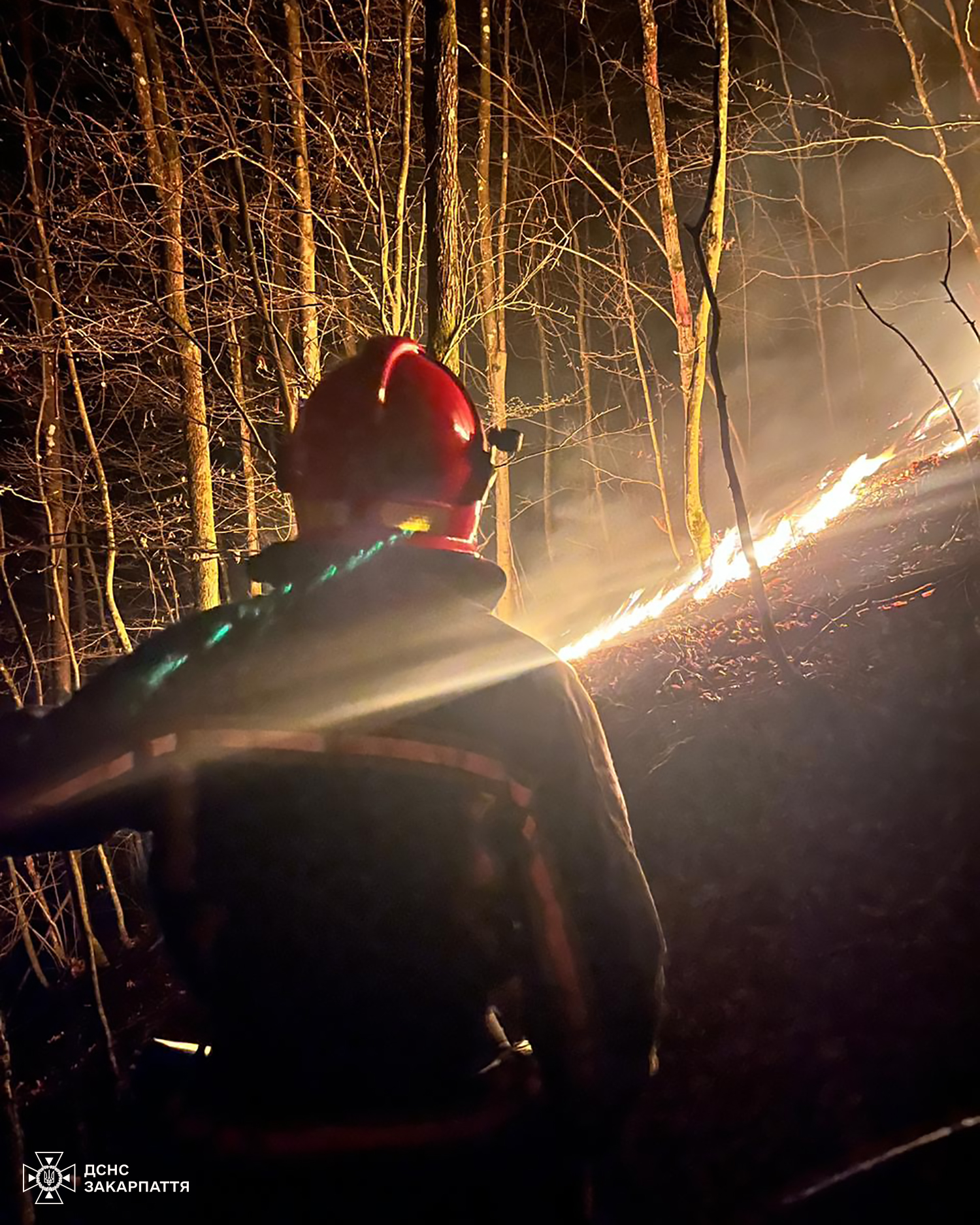 Загоряння лісової підстилки