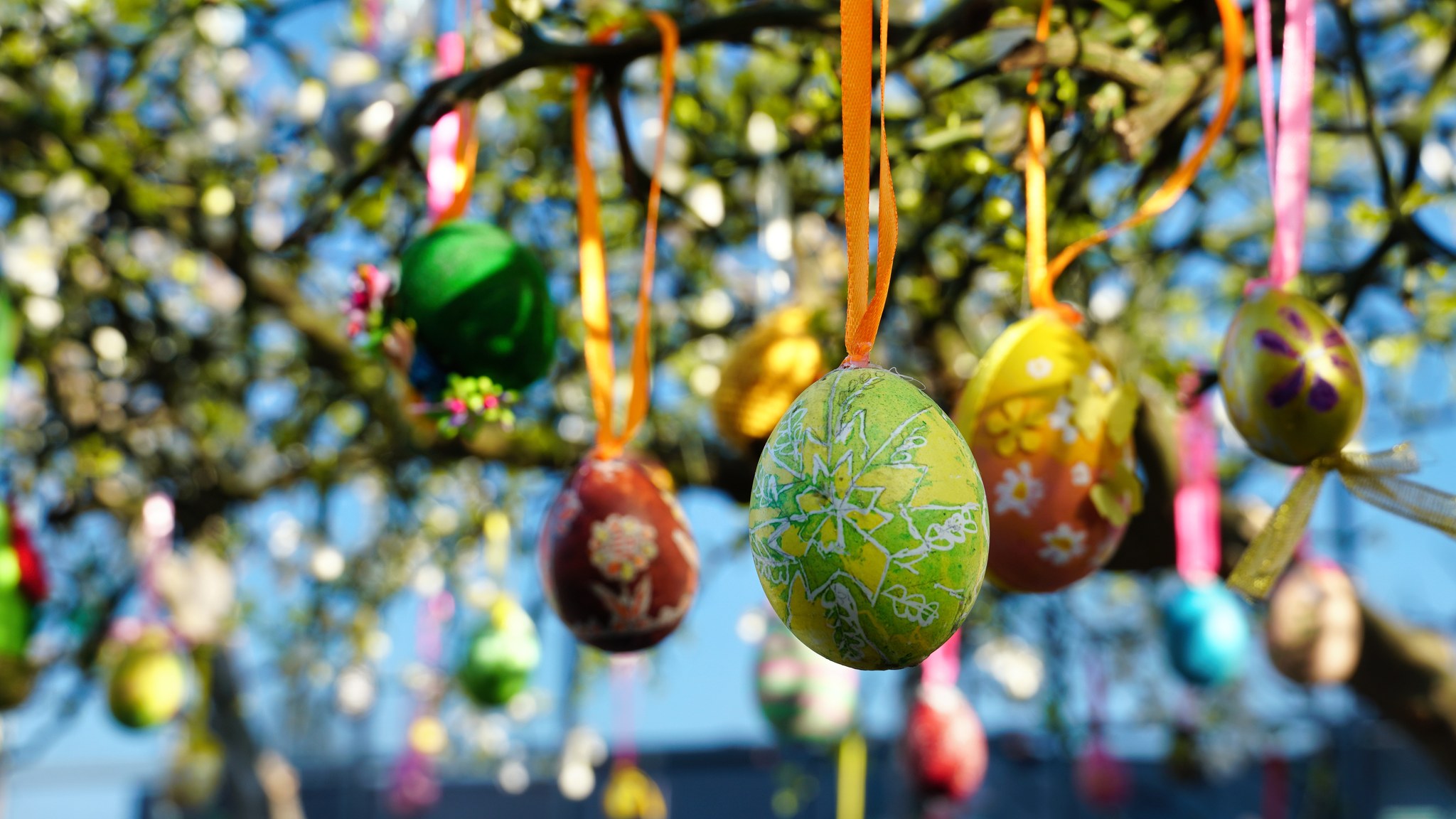 Тернистий лимон у Мукачеві