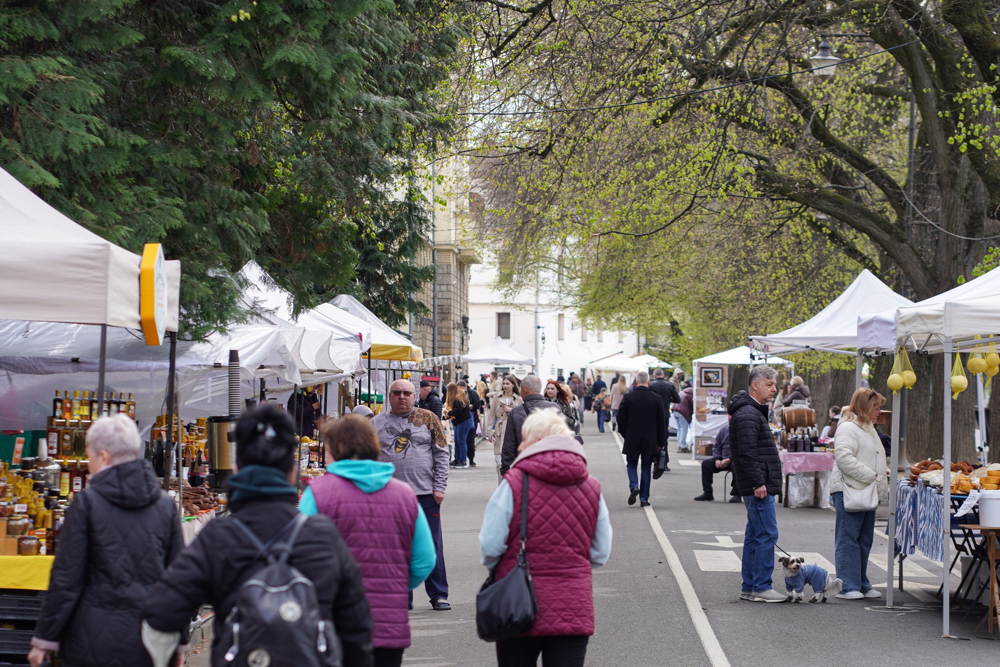 Великодній ярмарок-2026 в Ужгороді