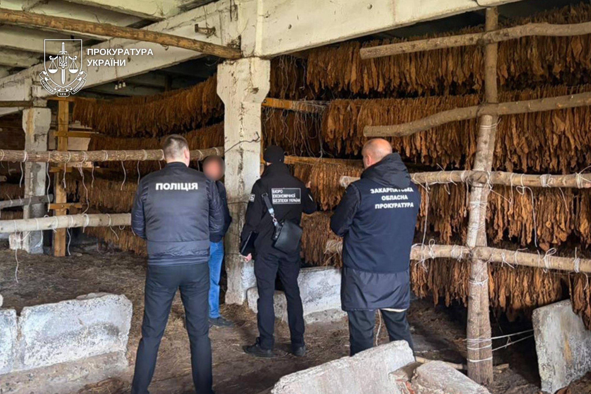 Підпільний бізнес із виготовлення і поширення тютюну