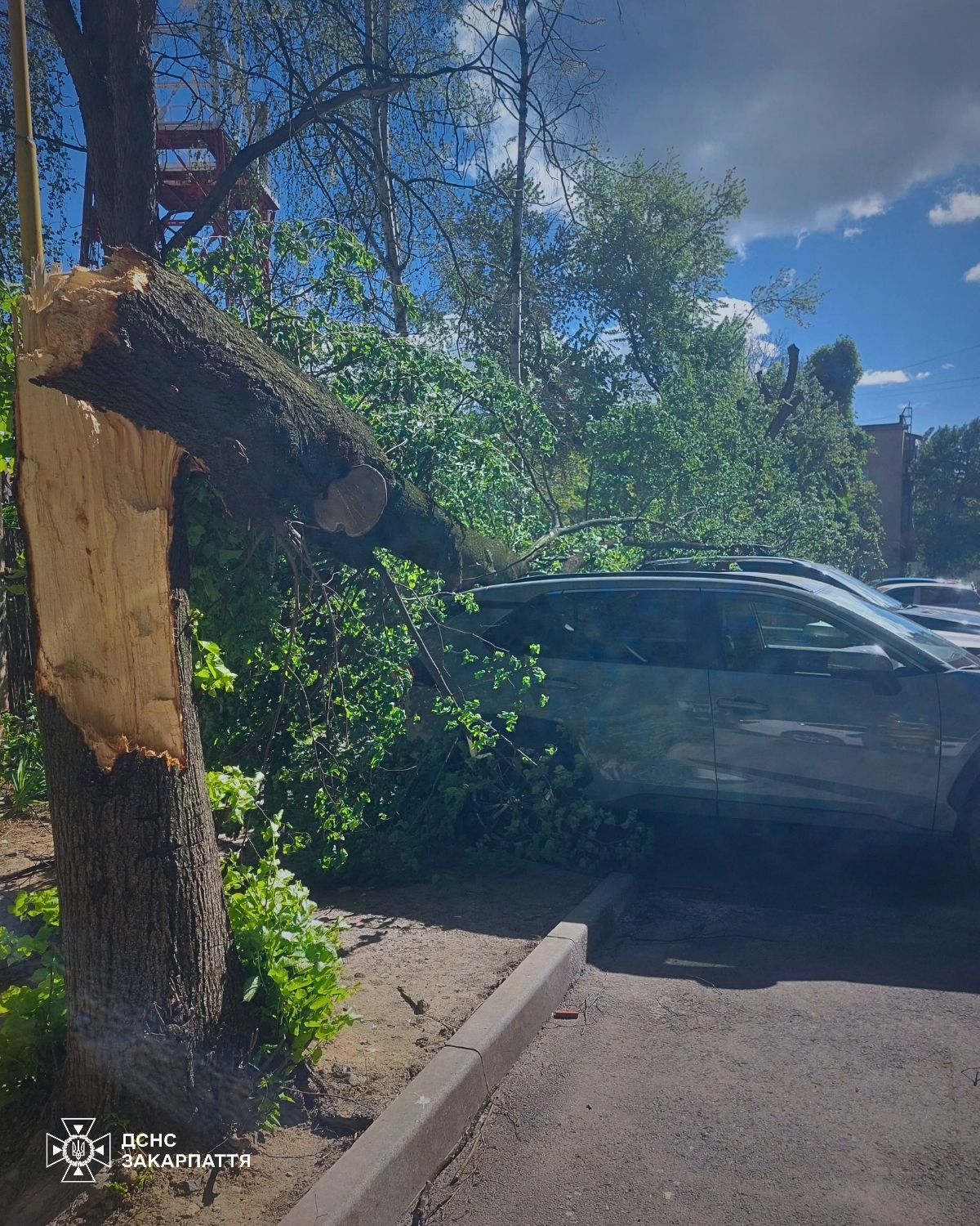 Наслідки негоди