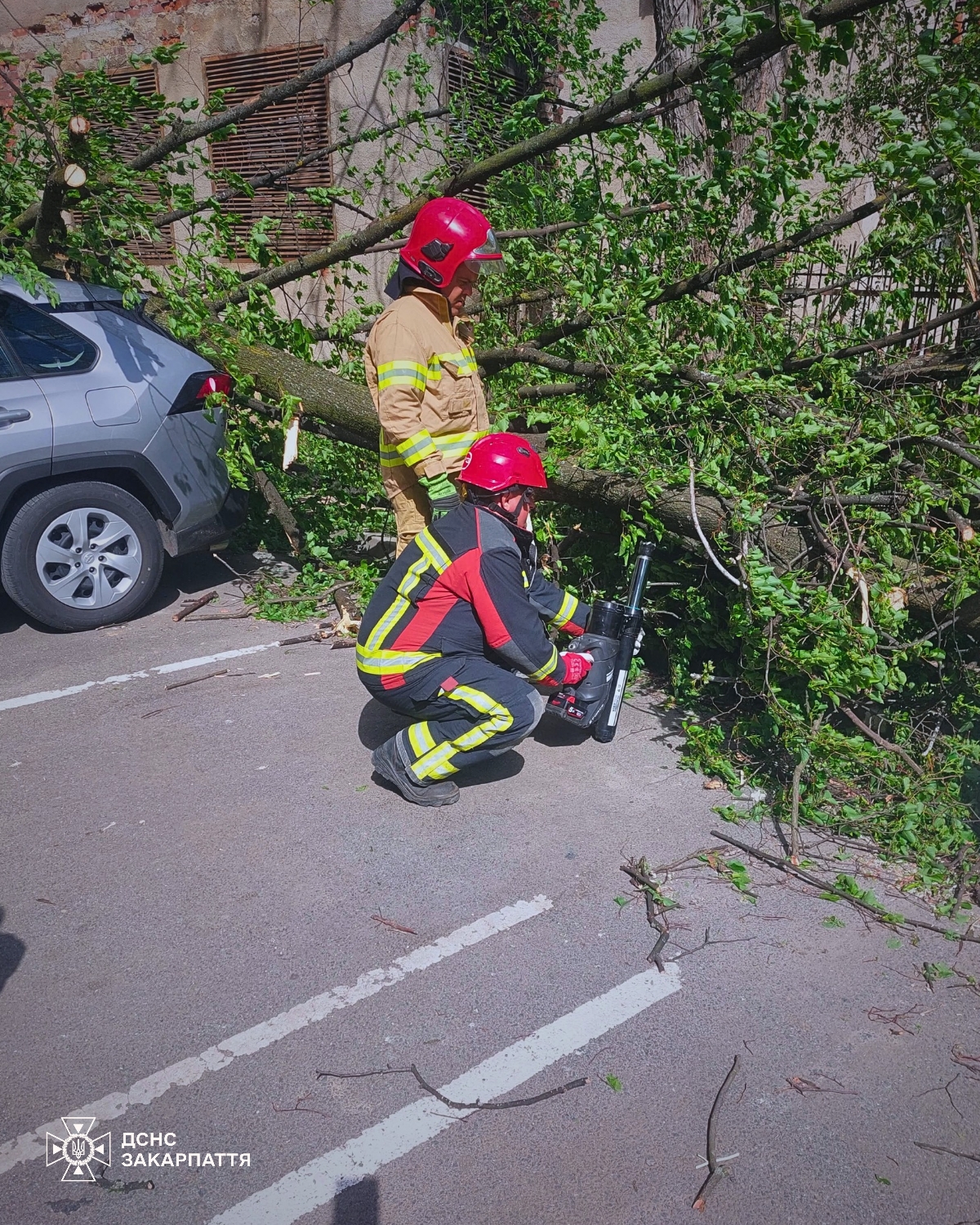 Наслідки негоди
