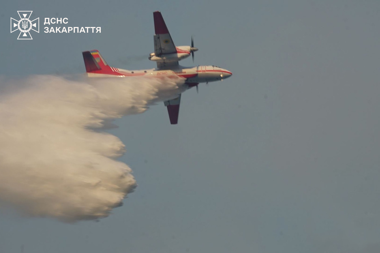 Пожежа в лісі біля Воловця