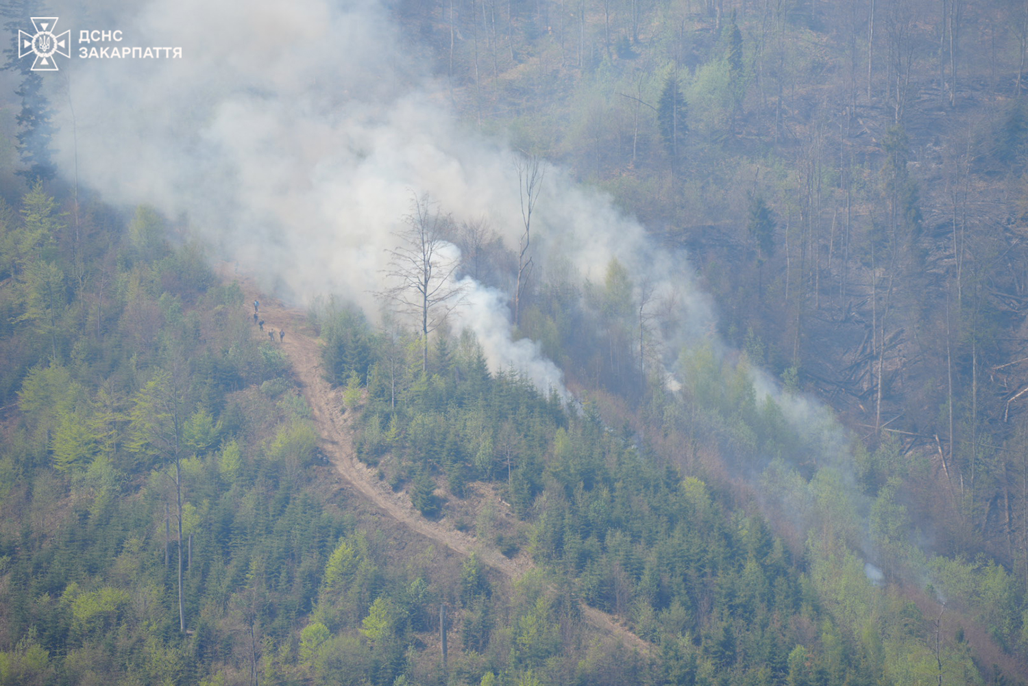 Ліквідація пожежі на Воловеччині