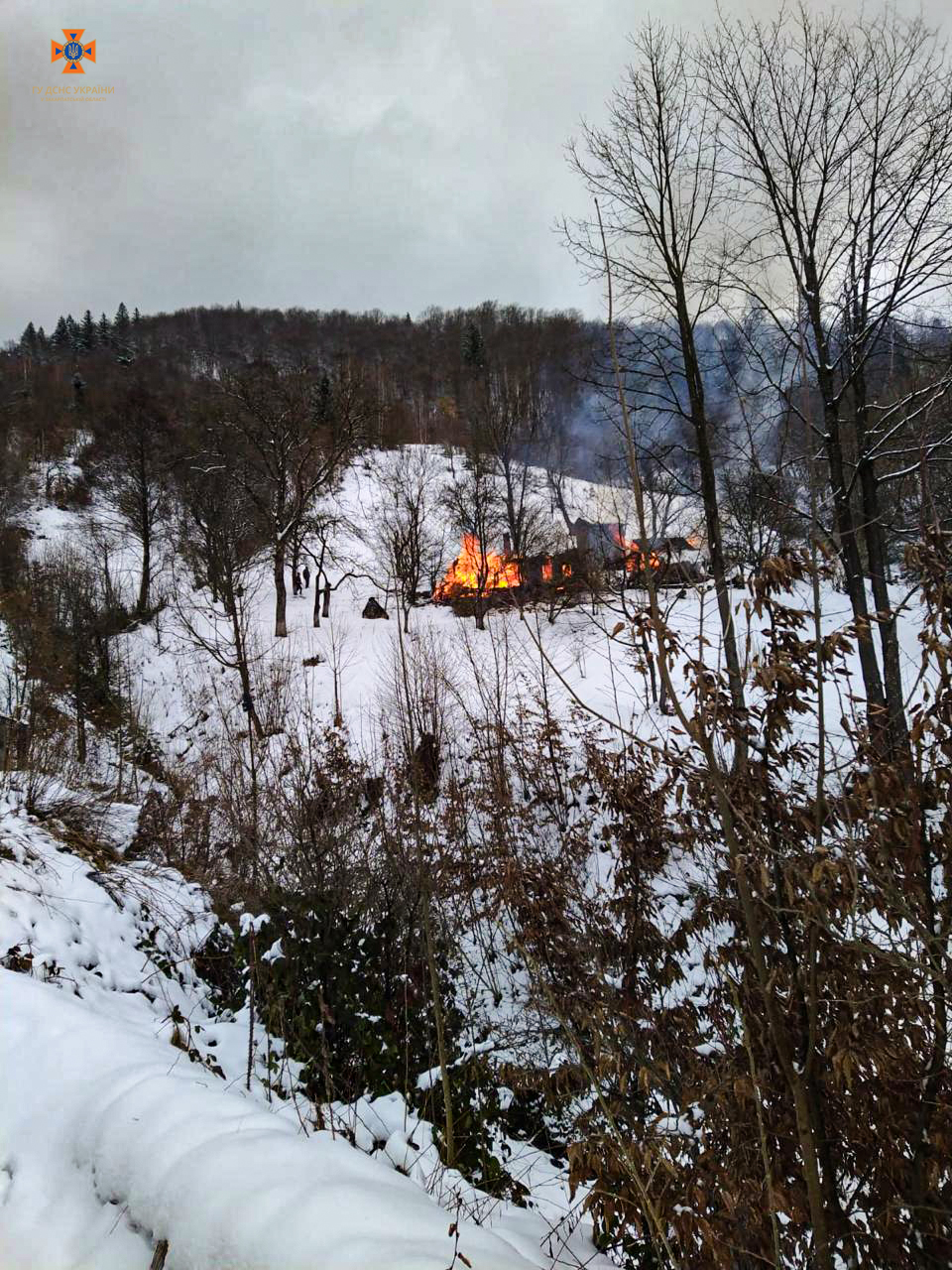 Власника помешкання, на жаль, врятувати не вдалося 