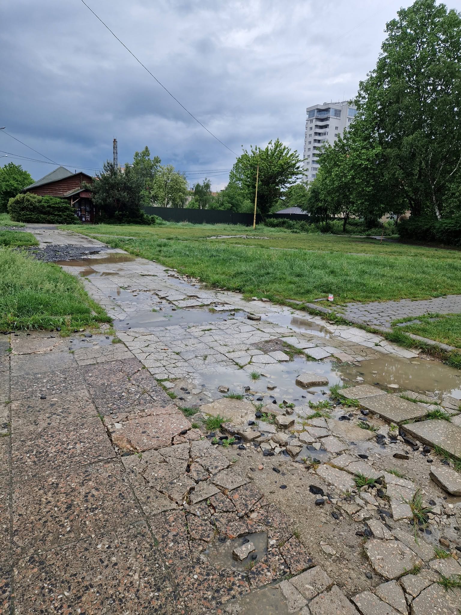 Алея імені Андрія Палая