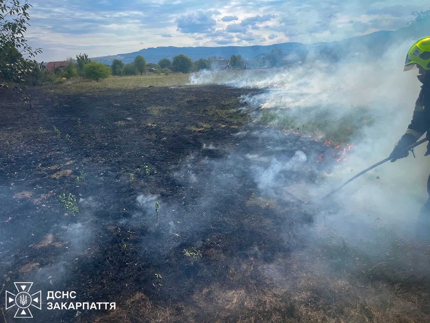 Пожежі в екосистемах на Закарпатті
