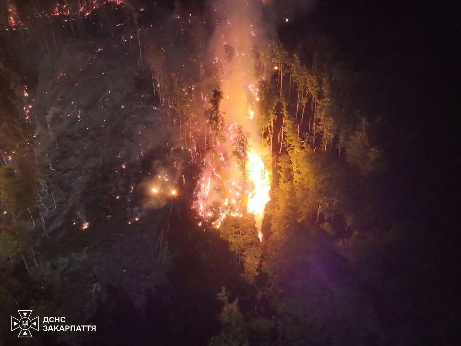 Лісова пожежа на Мукачівщині