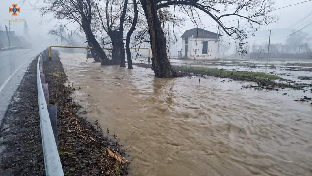 Підтопленння у Закарпатській області