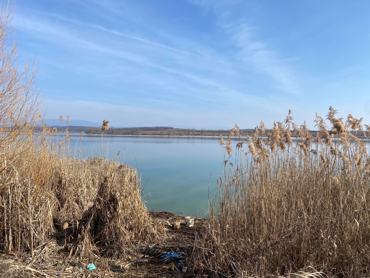 Водно-болотні угіддя, Мукачівщина