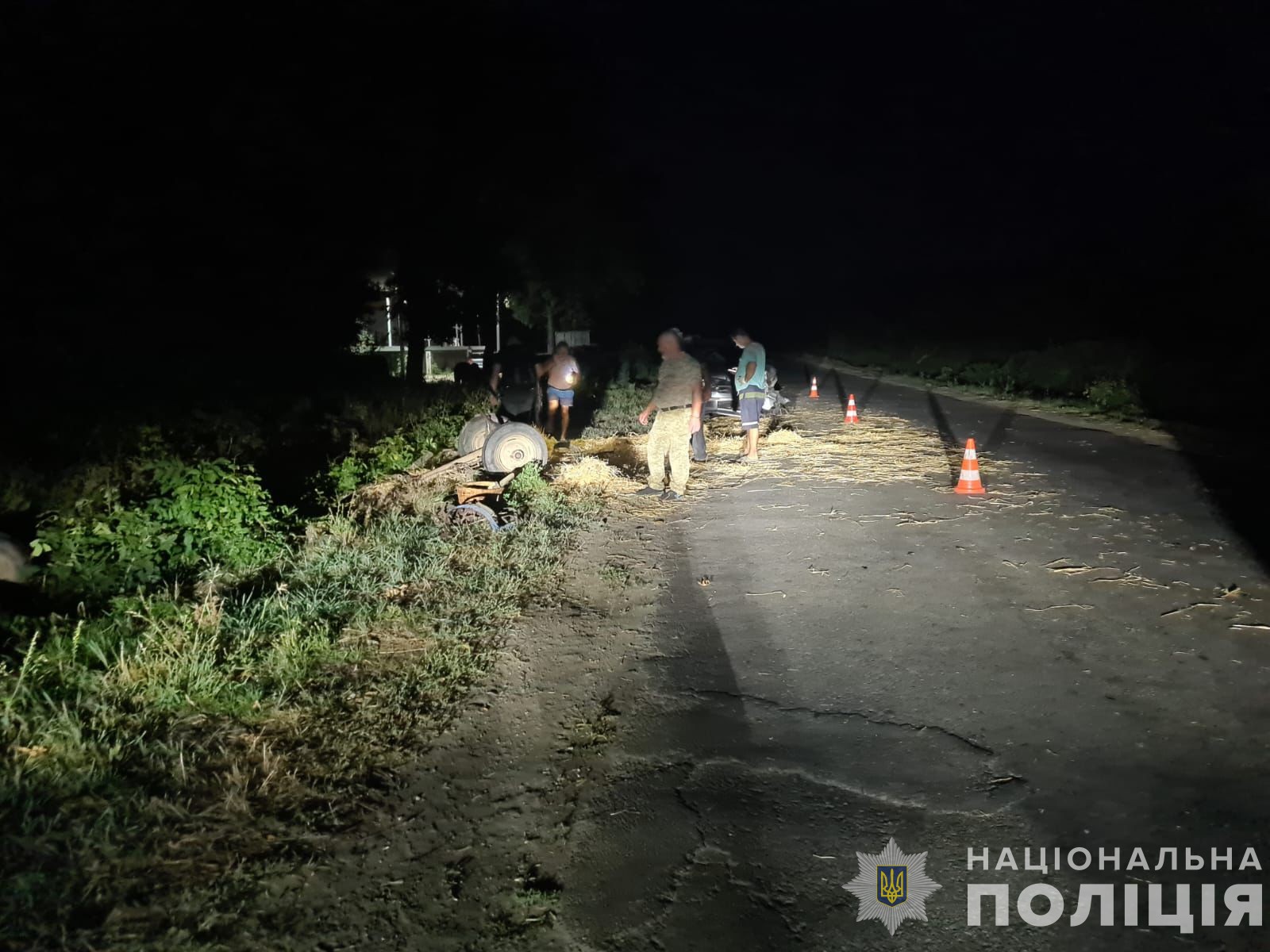 Наслідки зіткнення машини з возом