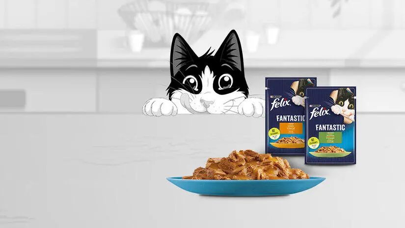 Корм Фелікс