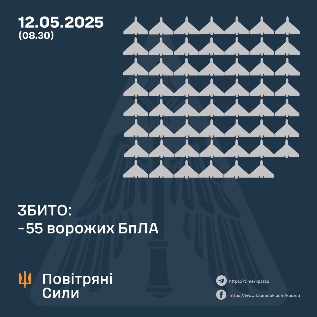 Дані Повітряних сил: нічна дронова атака 12 травня