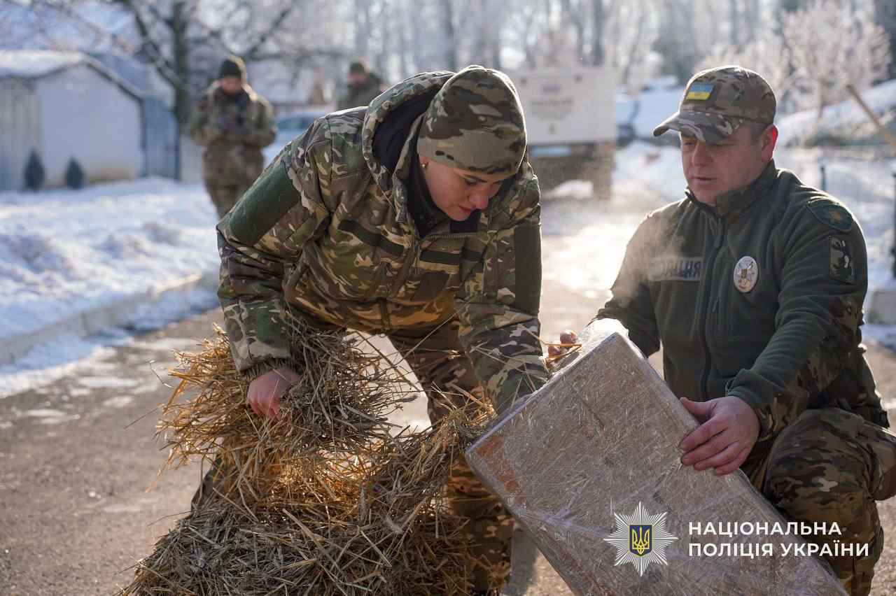 Кінологи облаштовують саморобні будки для песиків