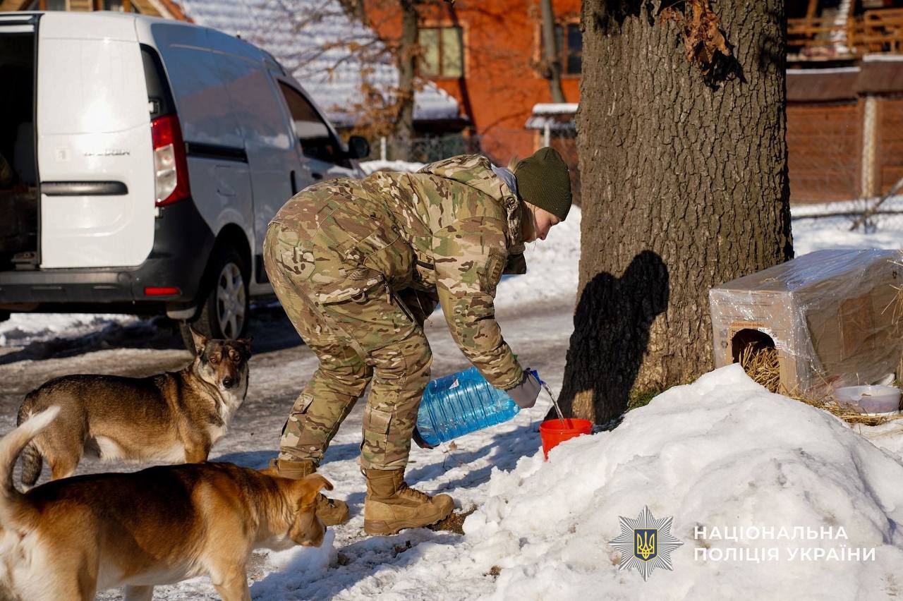 Кінологи облаштовують саморобні будки для песиків