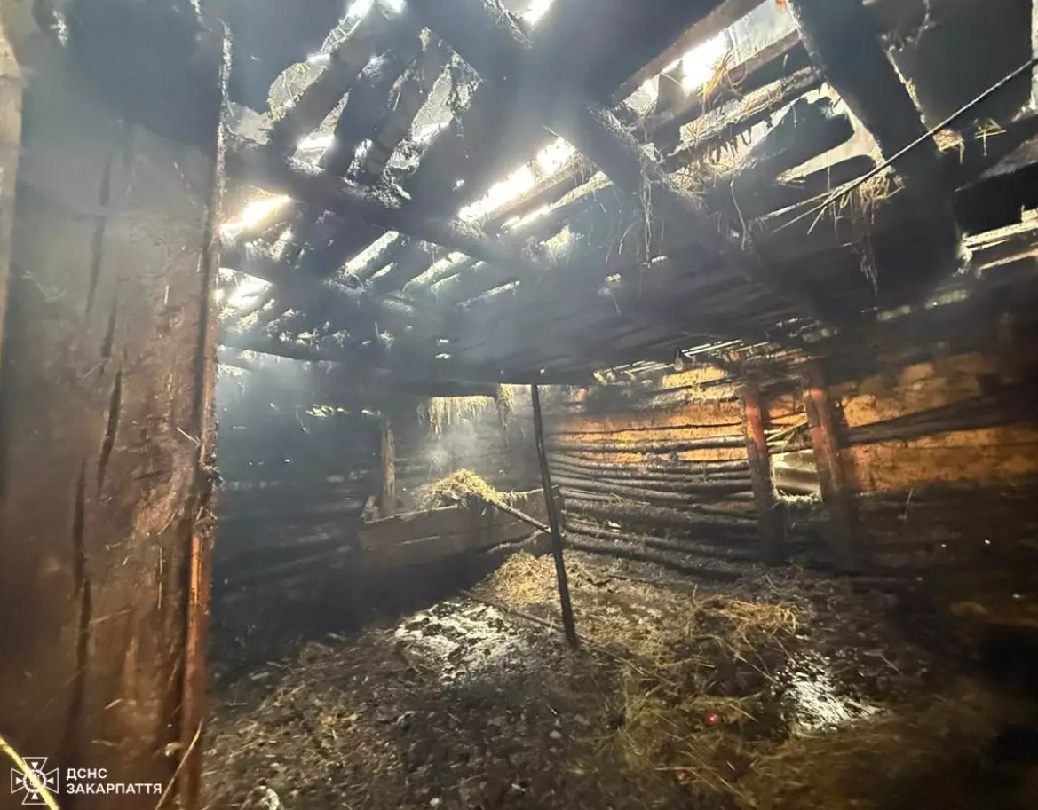 Хлів після пожежі