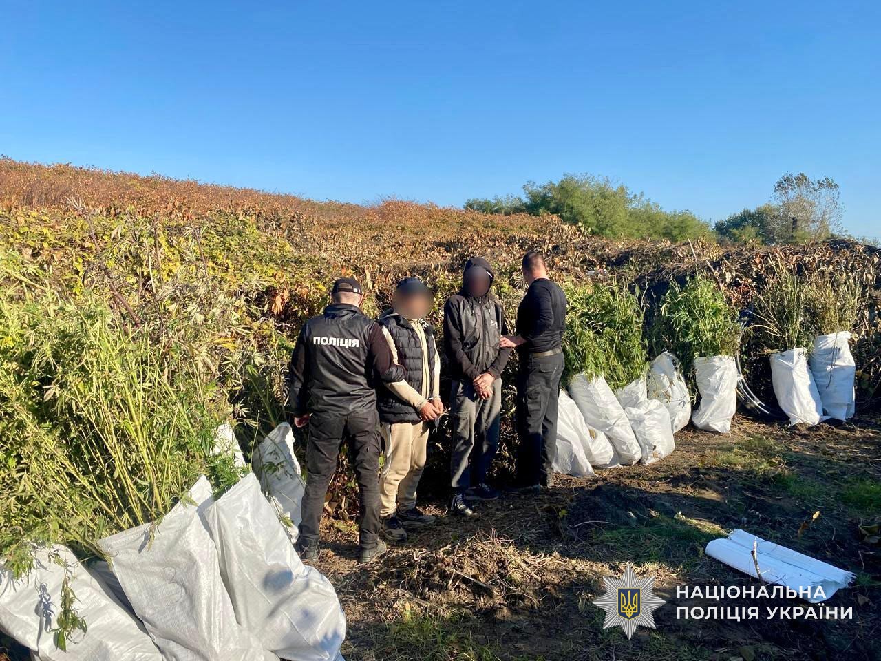 Обвинувачені