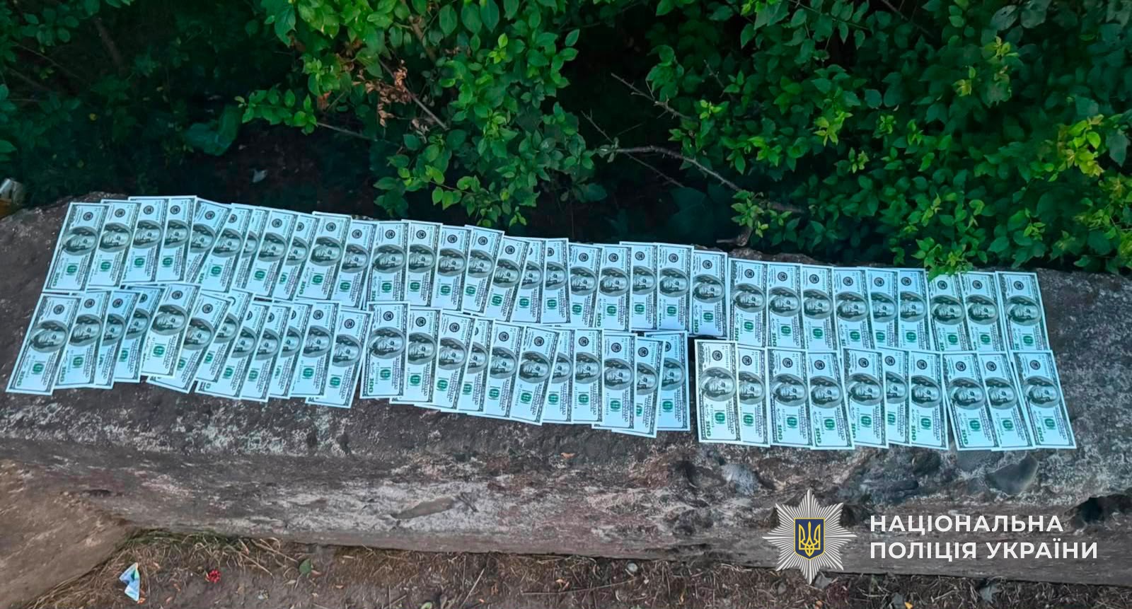 Затримані переправники з утікачами