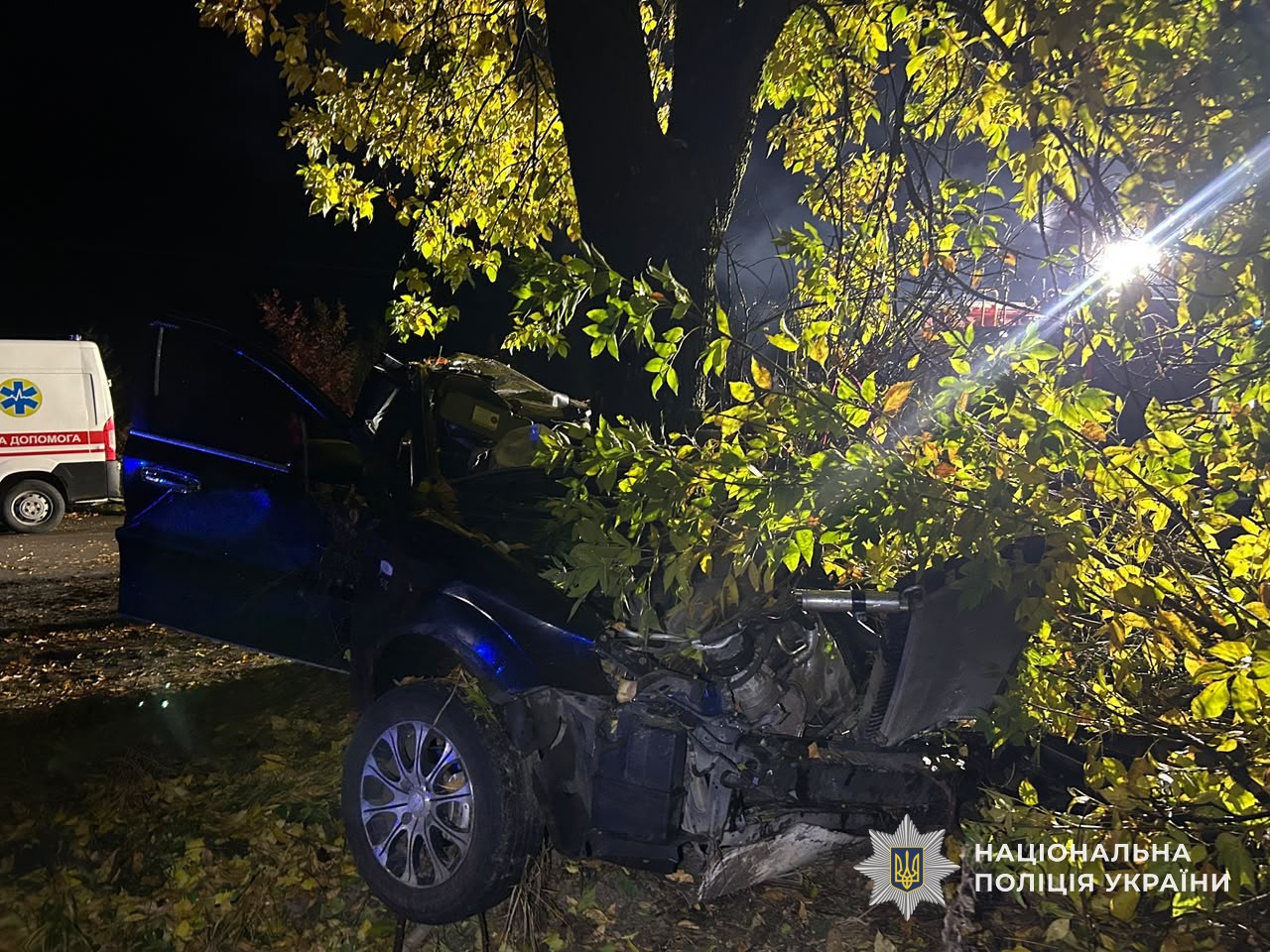 Аварія біля села Черник на Закарпатті