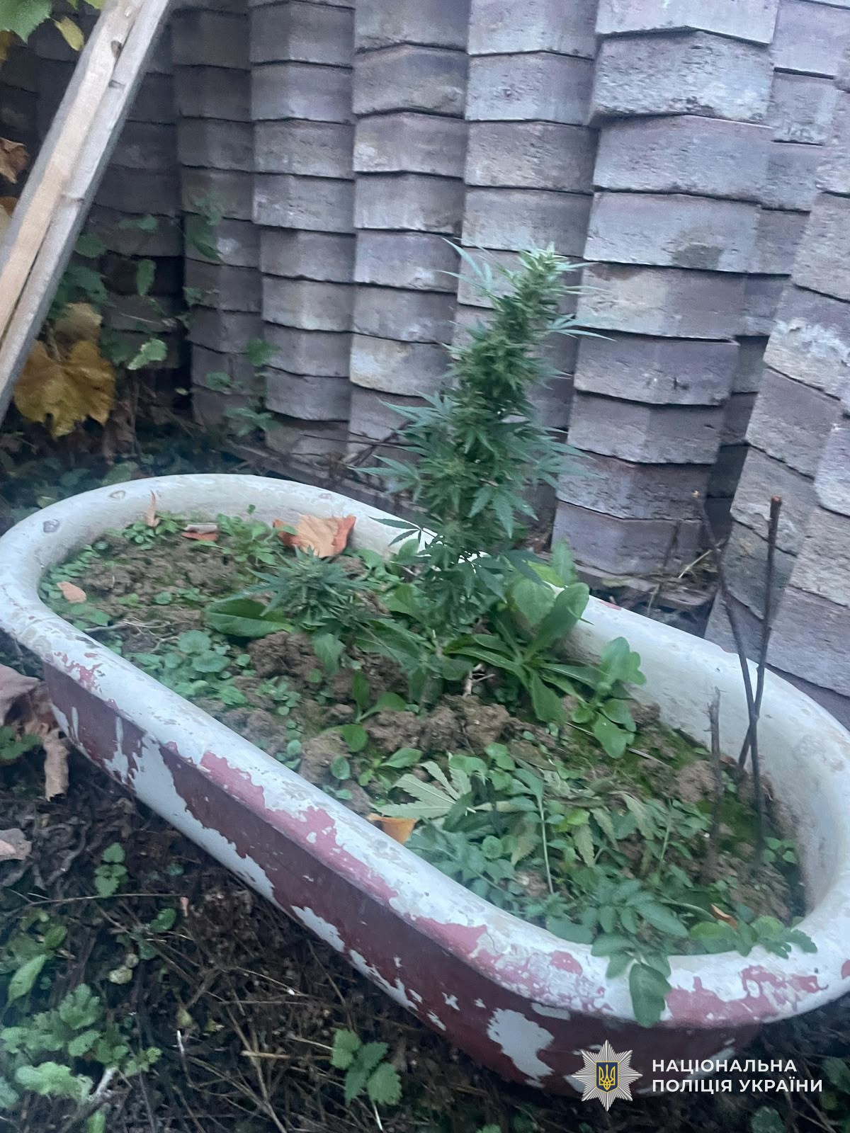 На Ужгородщині затримали священника, який переправляв ухилянта до Словаччини
