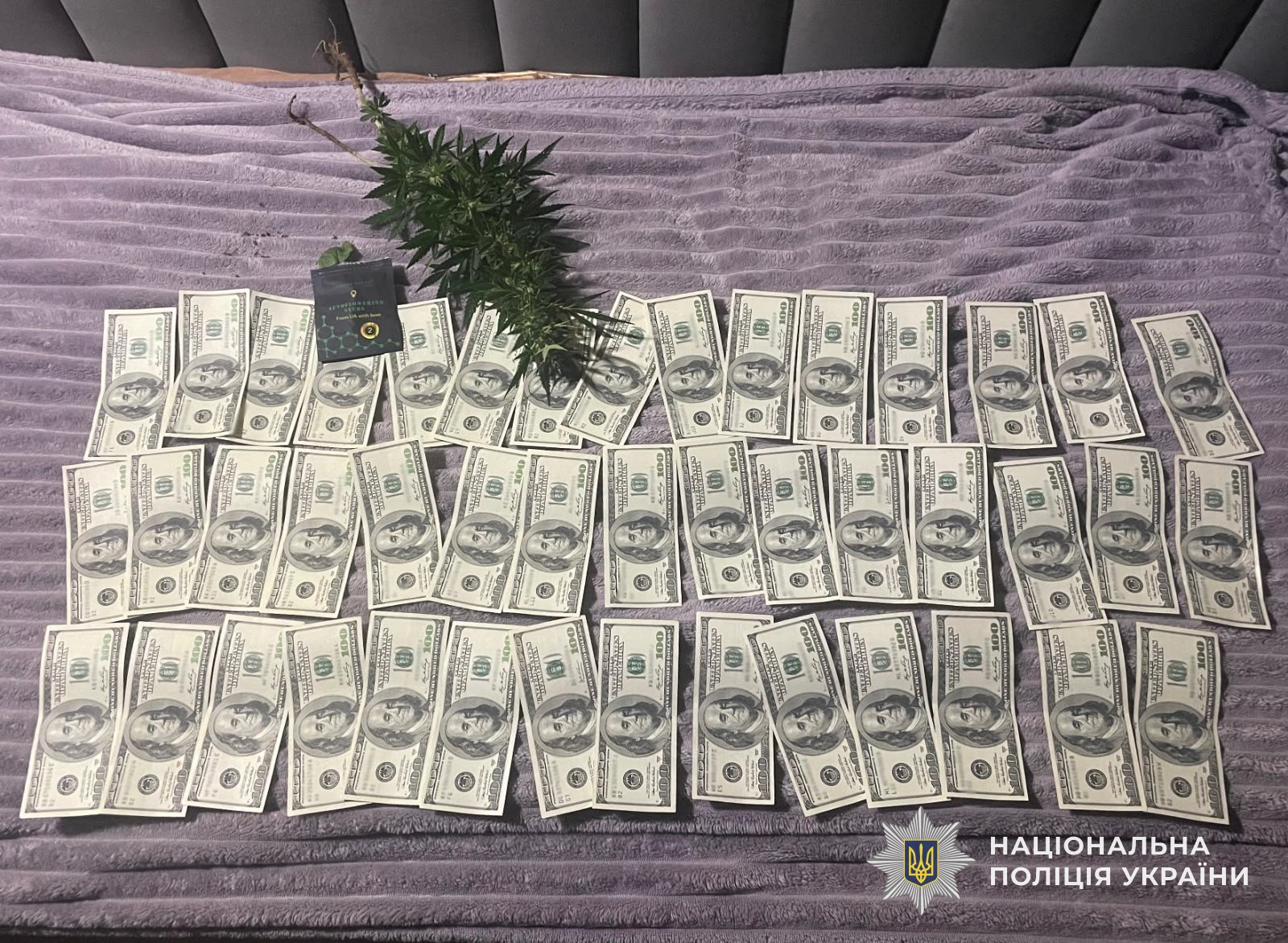 На Ужгородщині затримали священника, який переправляв ухилянта до Словаччини