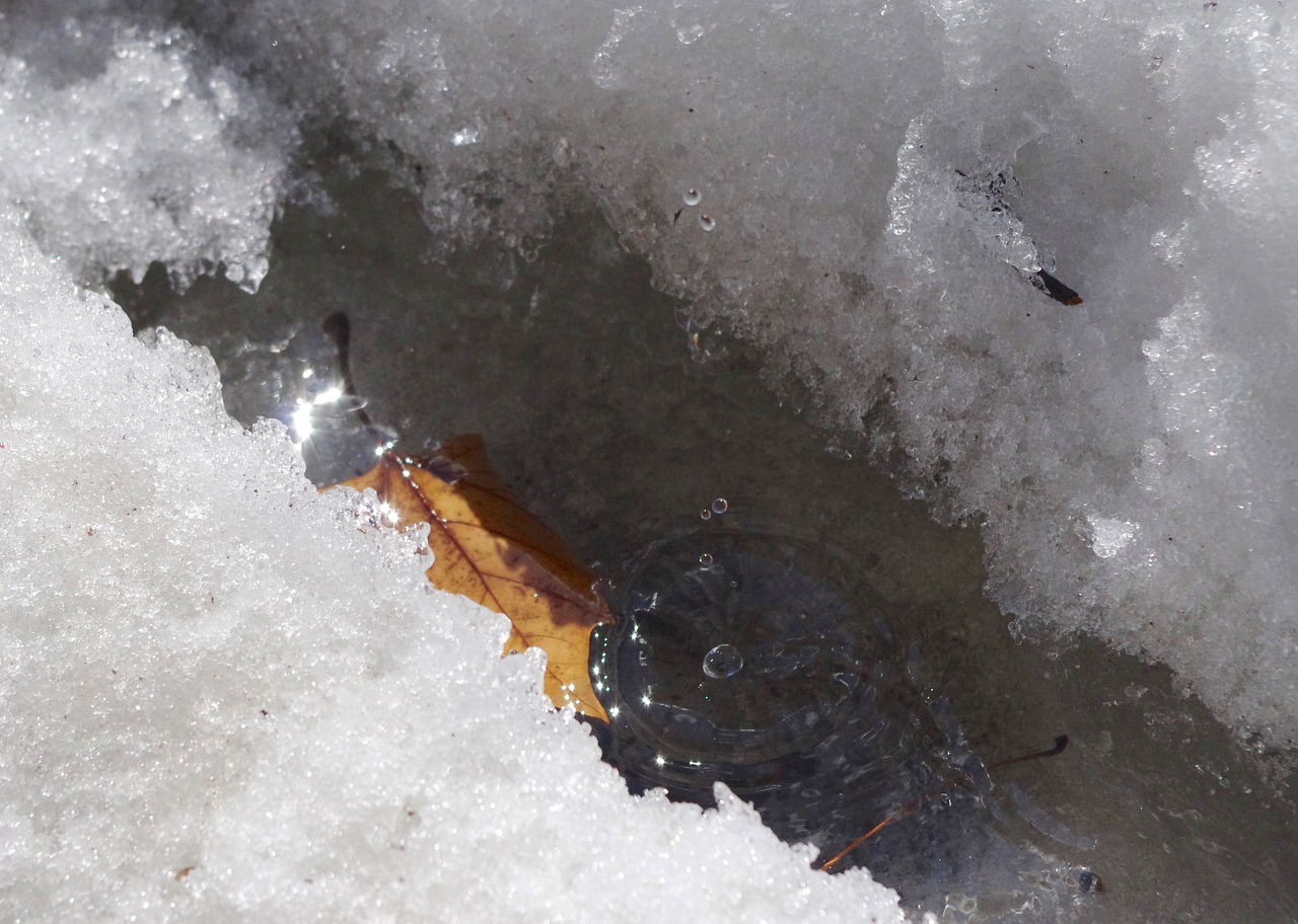 Танення снігу