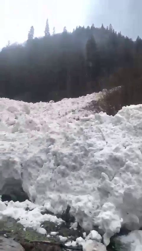 Результат сходження лавини в Карпатах, де помер чоловік 