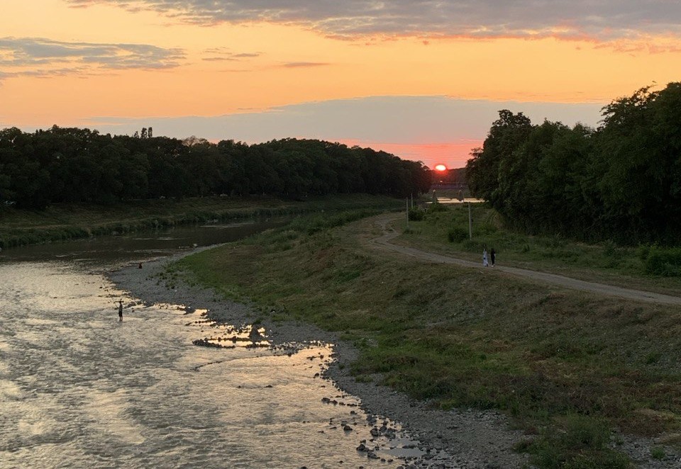 Ботанічна набережна в Ужгороді