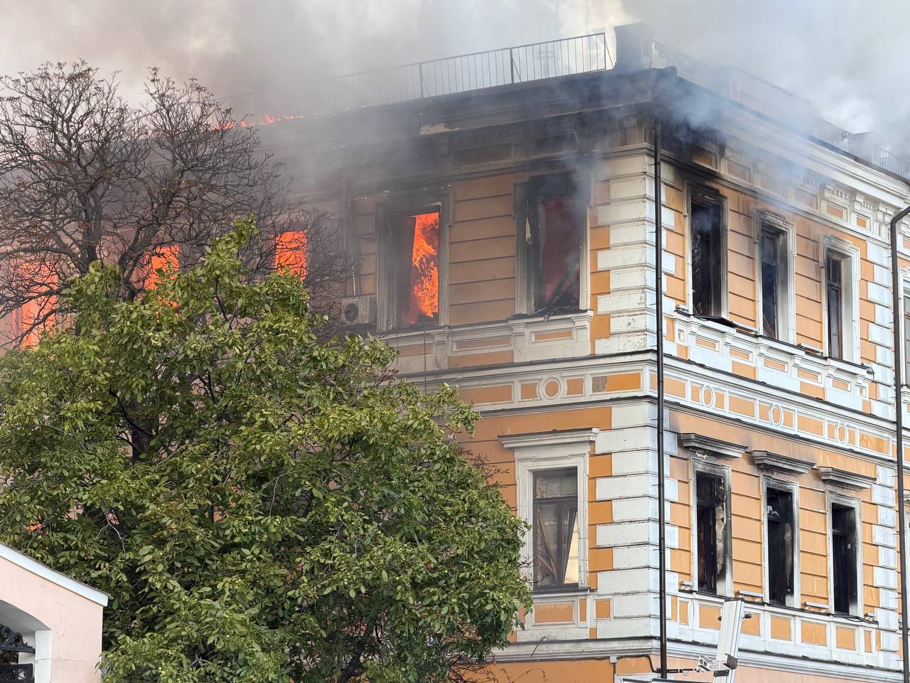 НАН України