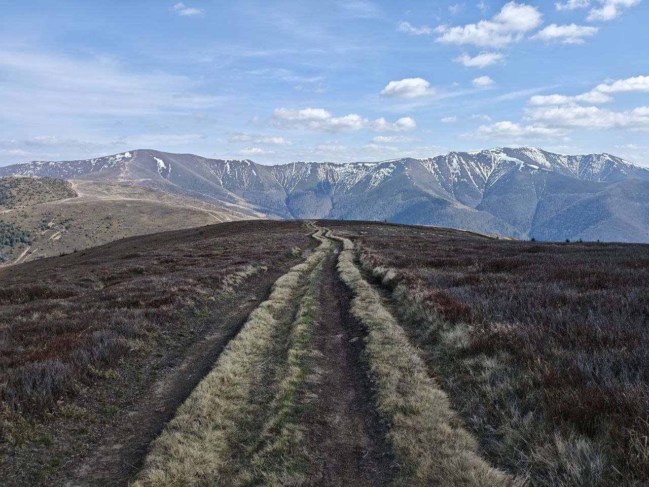 Карпати