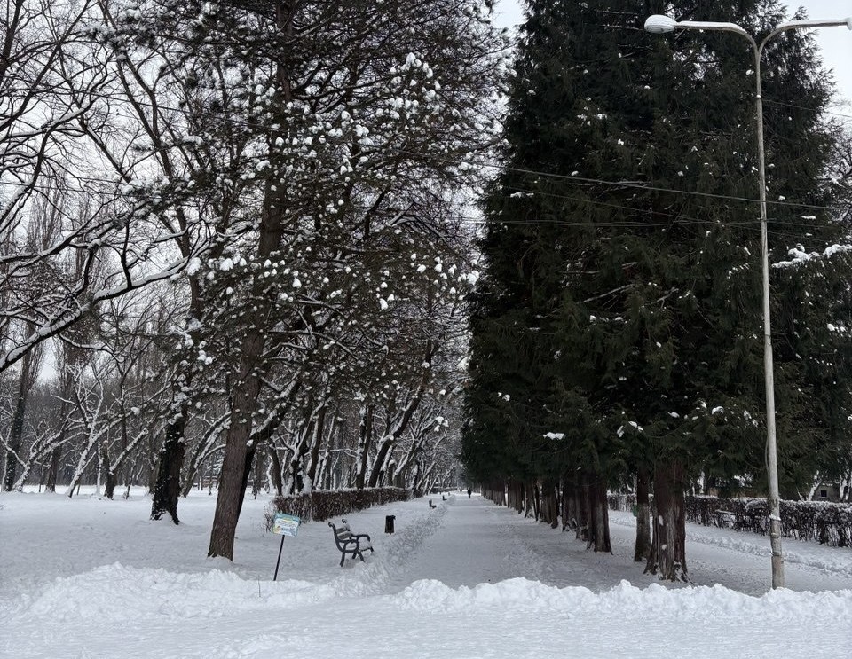 Боздоський парк