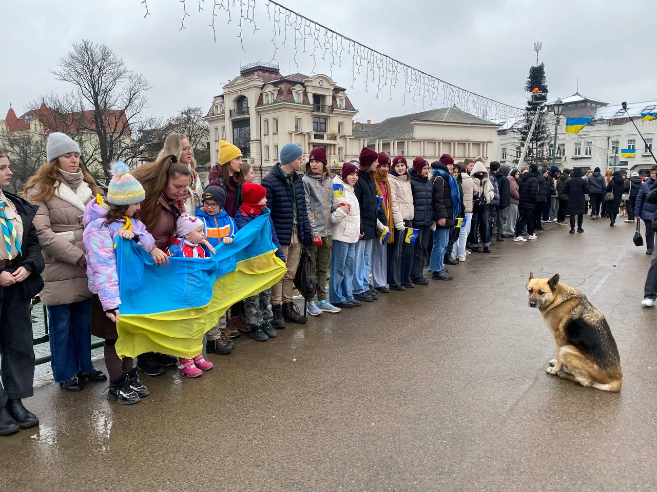 "Живий ланцюг" в Ужгороді