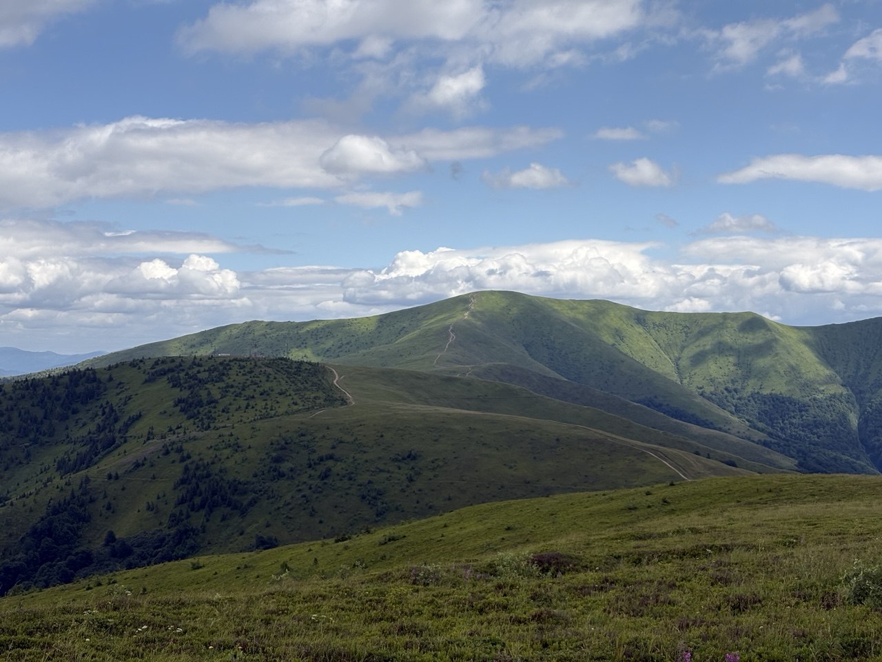 Закарпаття