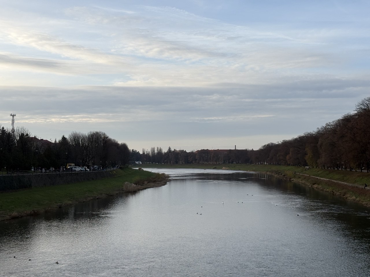До 10° тепла та ожеледицю прогнозують на Закарпатті