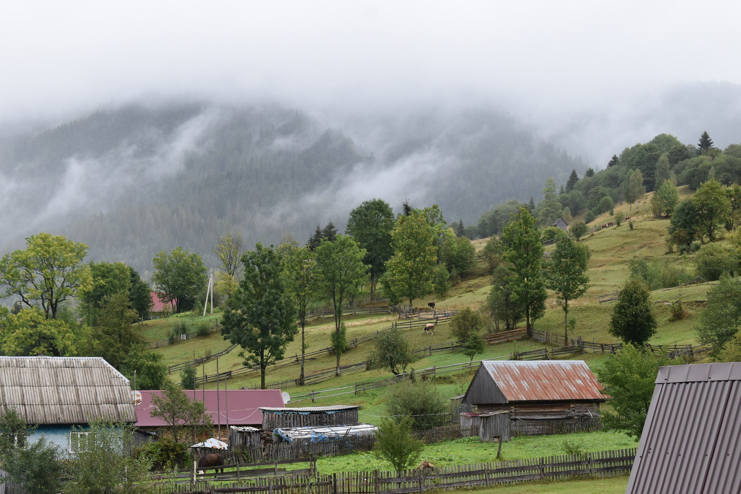 Закарпаття