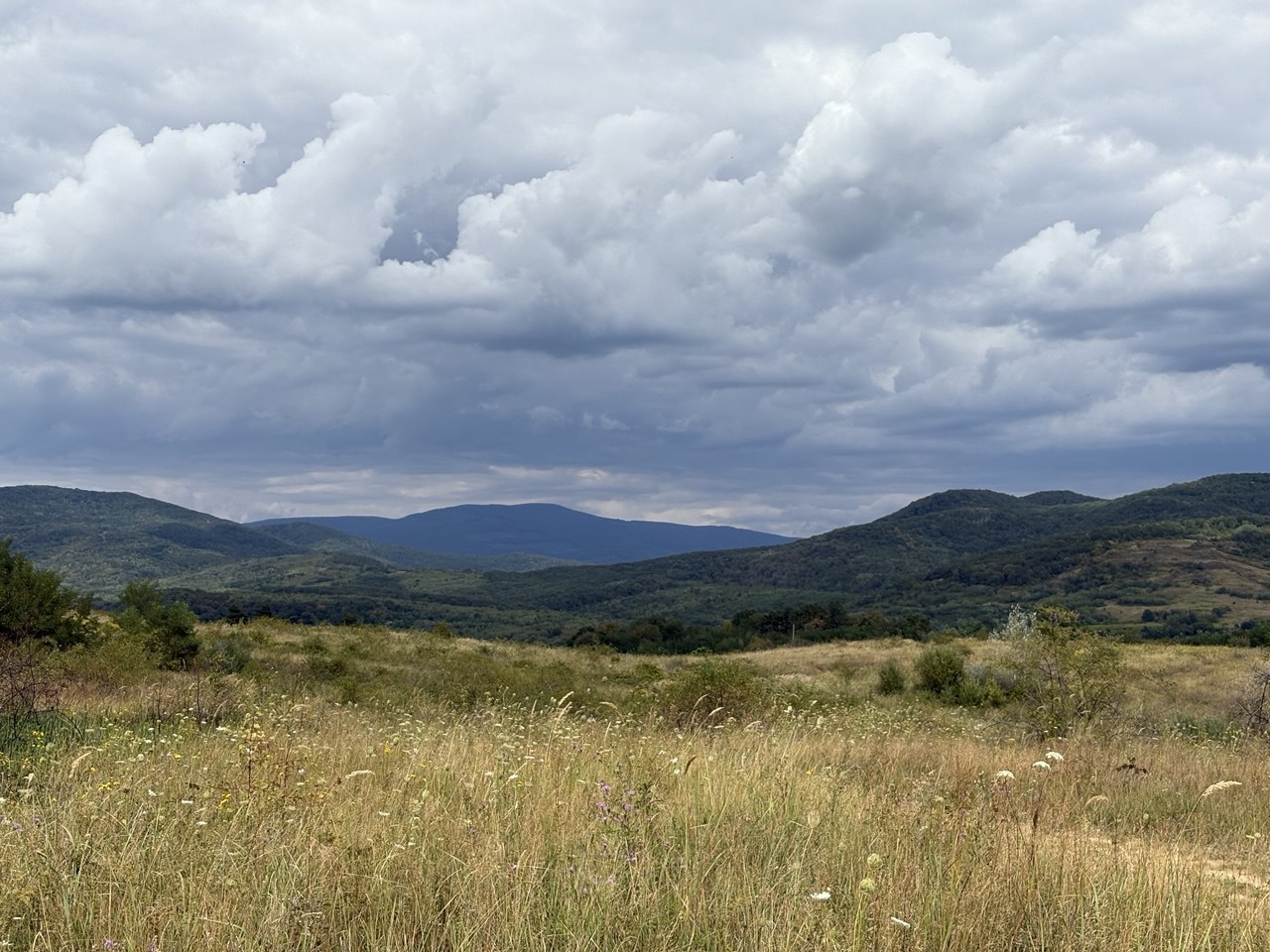 Закарпаття