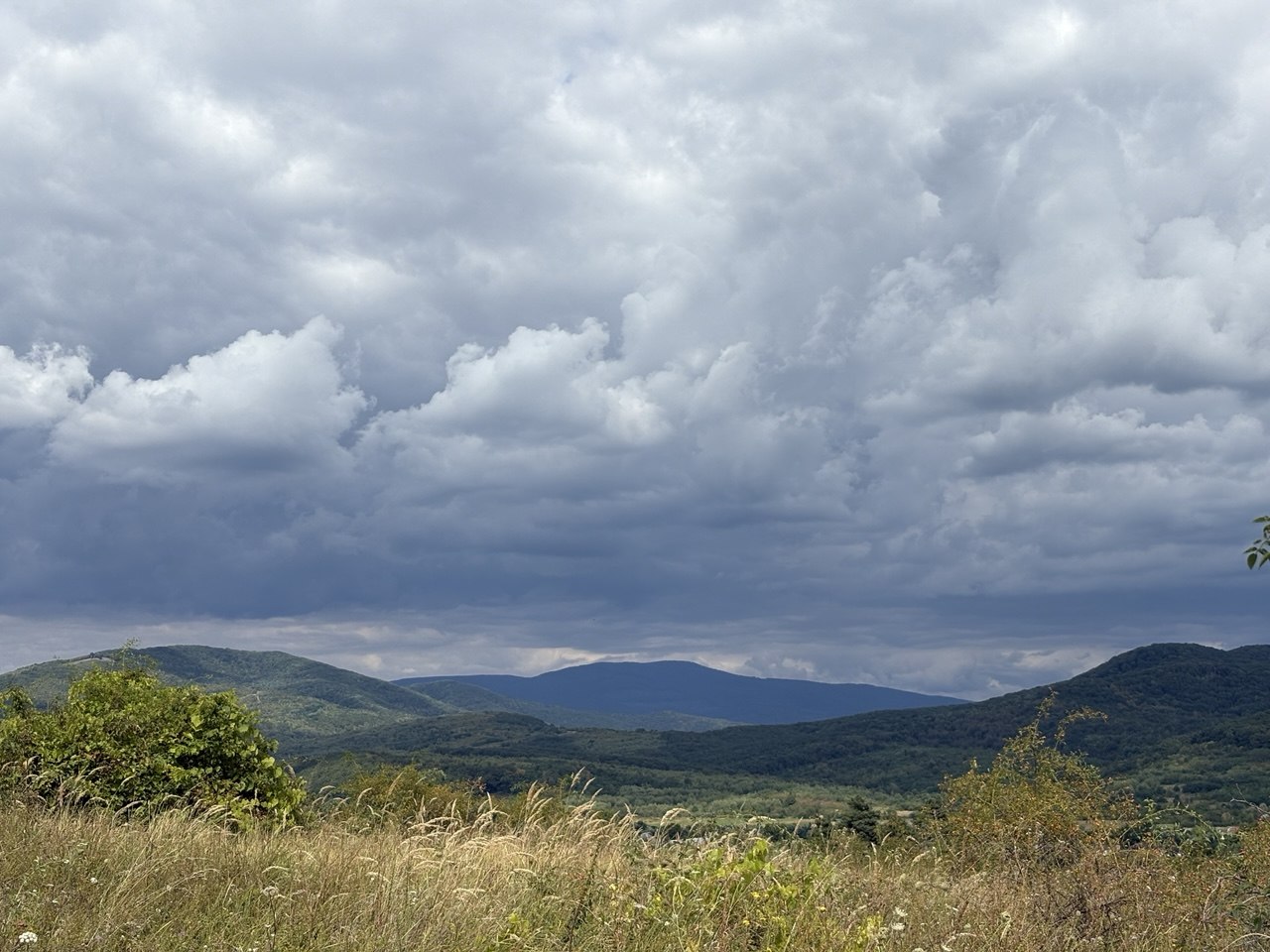 Закарпаття