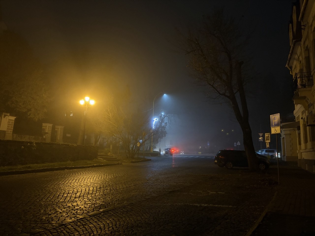 Туман, Ужгород