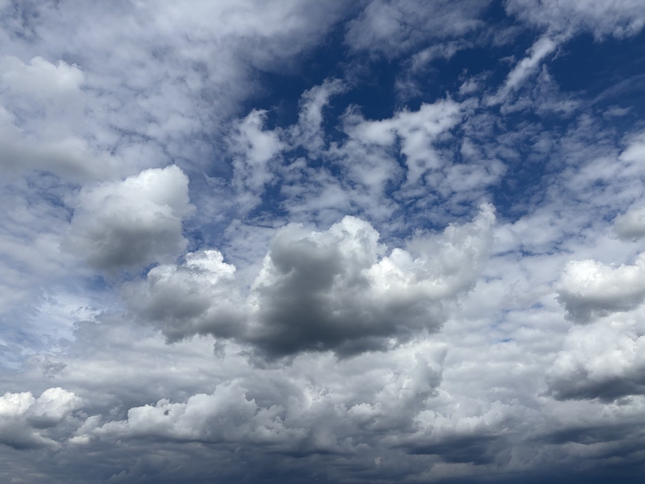 На Закарпатті очікується до 10° тепла без опадів