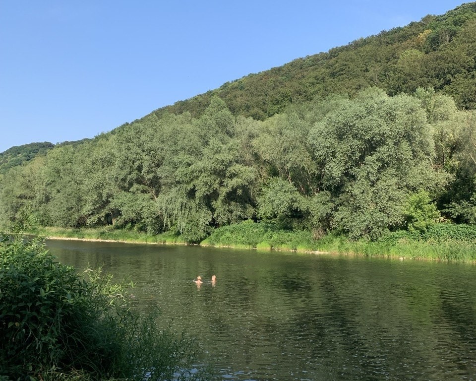 Річка, Закарпаття